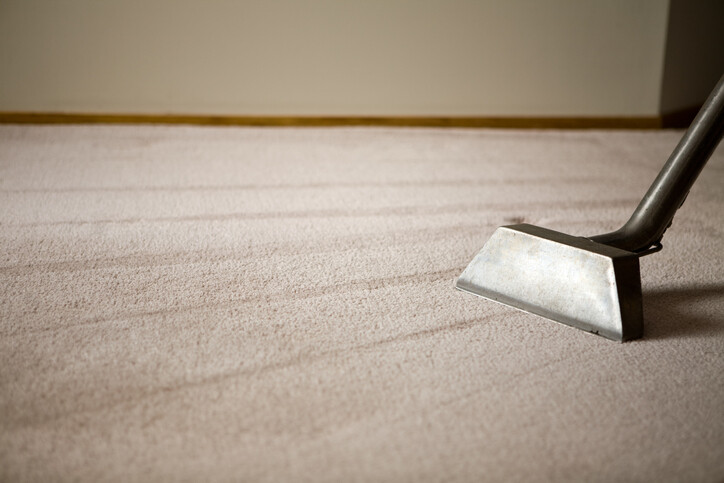 Steam Cleaning by EcoWise Carpet Cleaning