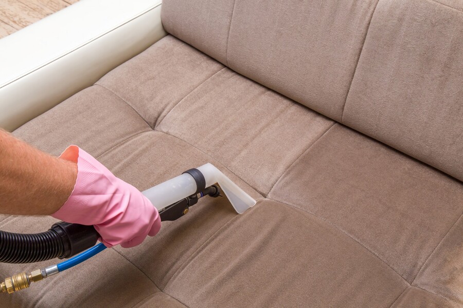 Upholstery cleaning by EcoWise Carpet Cleaning