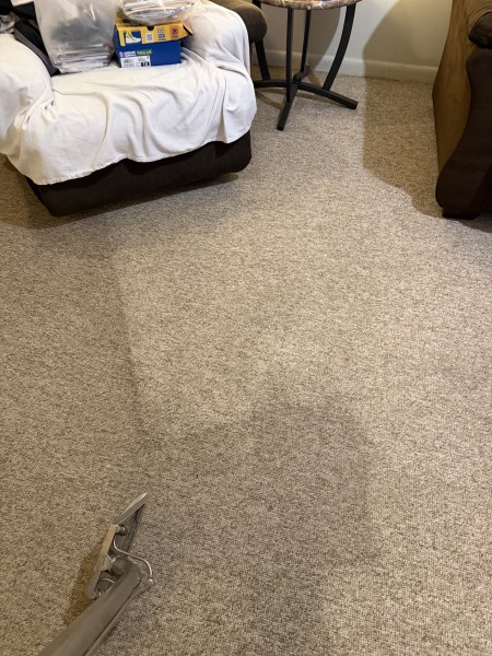 Carpet Cleaning in Hickory, NC (1)