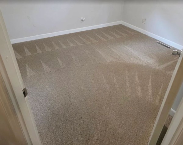 Dry Carpet Cleaning in Mooresville, NC (3)